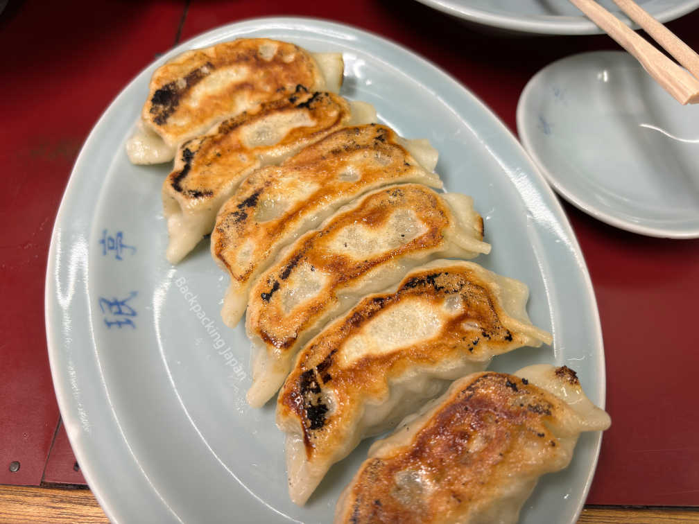 Pan-fried Gyoza