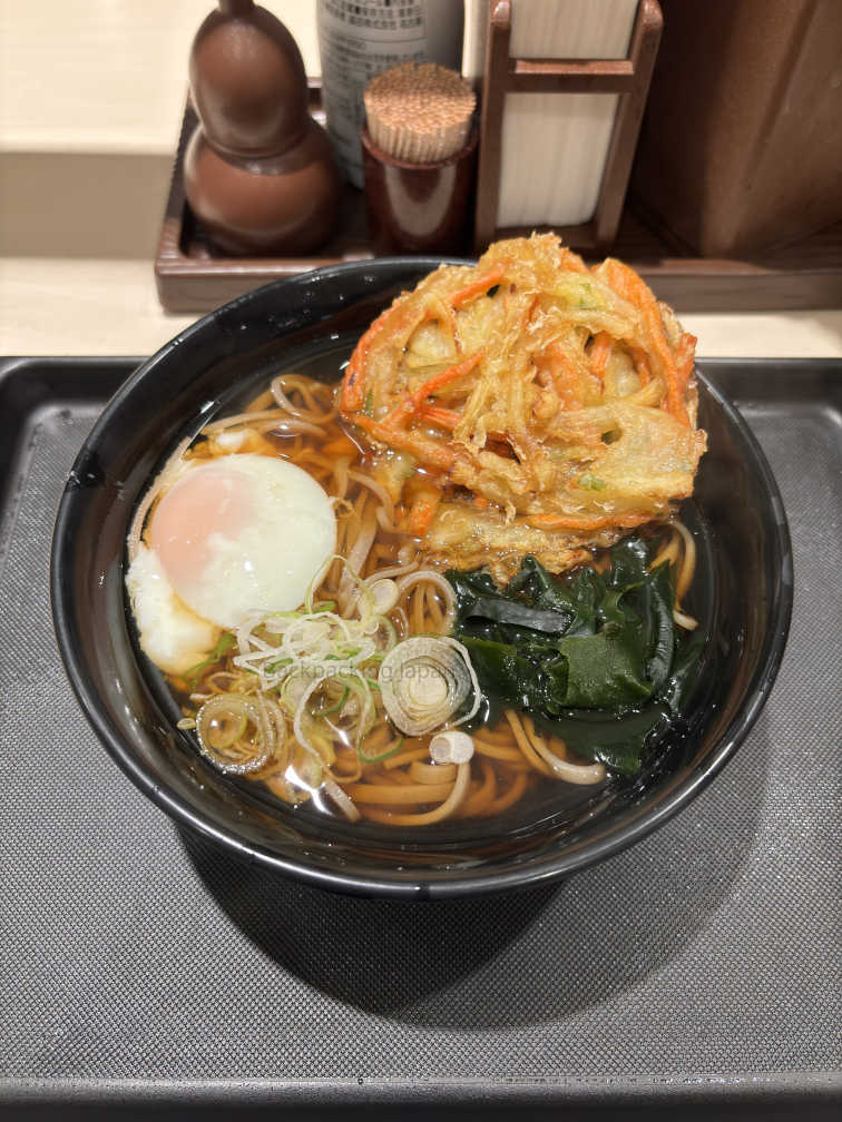 Soba noodles in soup with Onsen Tamago topping and Kakiage topping