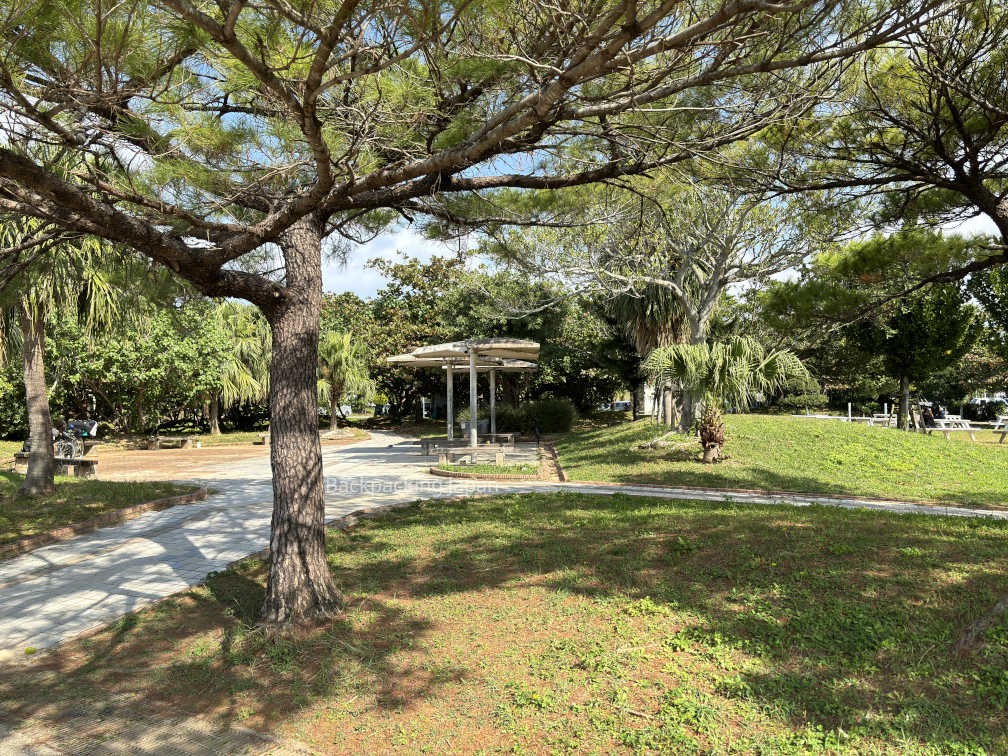 Some nice greenery and walkway in a park next to the beach